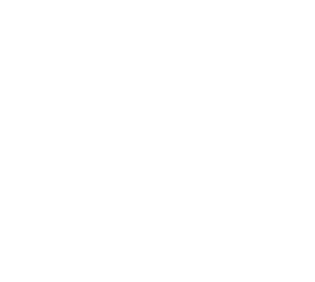 ACTIVE CLUSTER